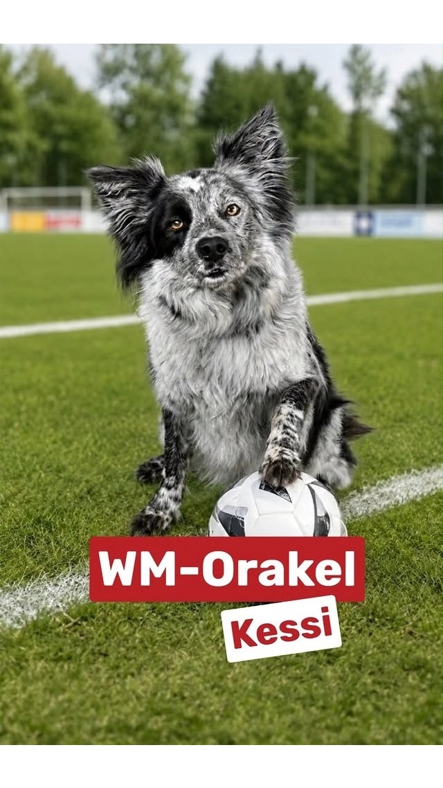 Agentur Friedsam Instagram Post 2026-06-30-01-41-17