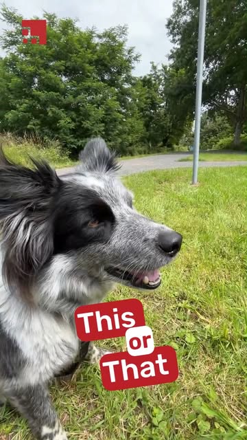 Agentur Friedsam Instagram Post 2026-08-04-10-47-26