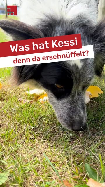 Agentur Friedsam Instagram Post 2026-09-01-10-33-47