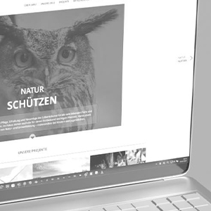 FRIEDSAM Werbeagentur macht Werbung für JANU 3