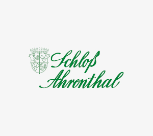 Referenz Schloss Ahrenthal